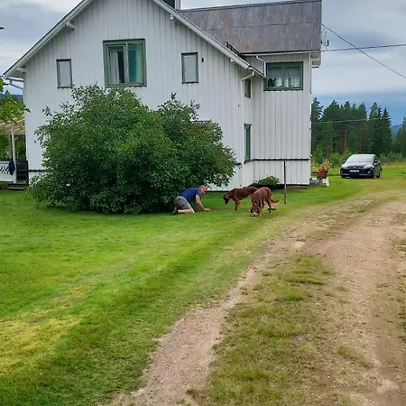 Bed & Breakfast åsnes Finnskog *